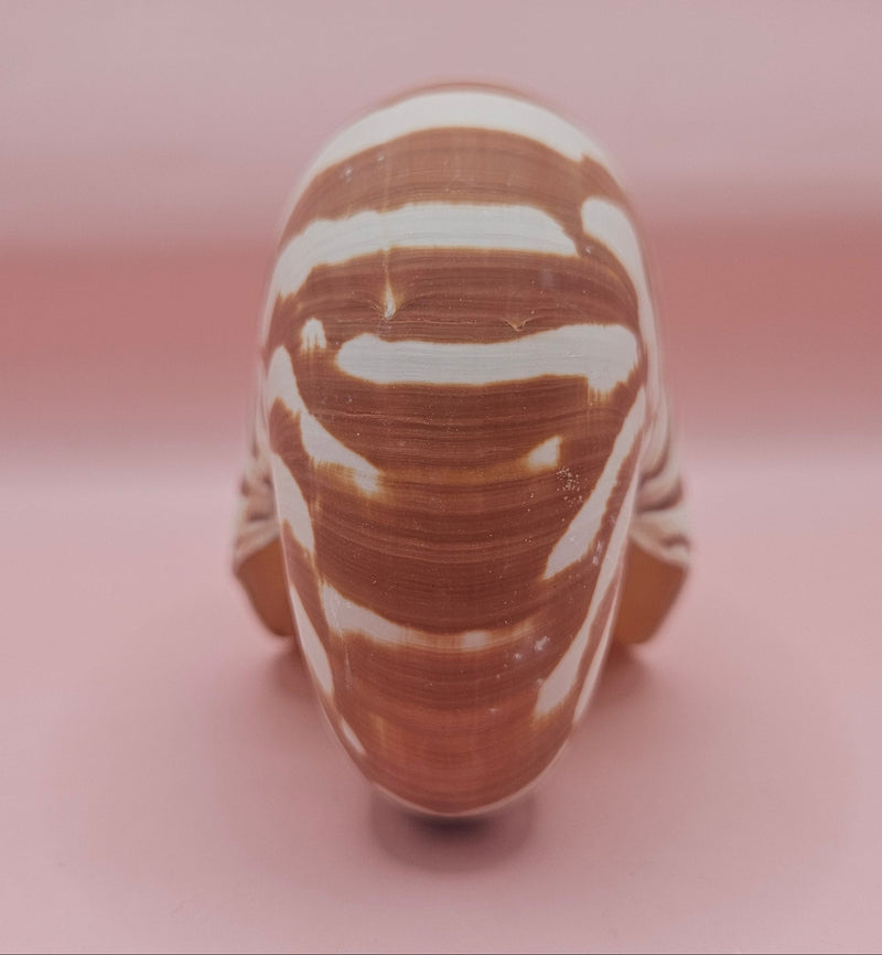 4-inch natural nautilus shell with smooth spiral pattern and creamy pearlescent finish.