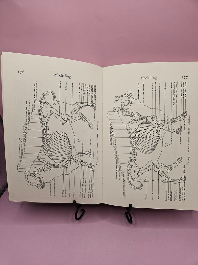 Detailed illustrations of animal anatomy from Modeling and Sculpting Animals by Edouard Lanter