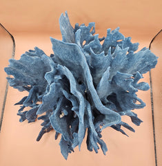 Natural Blue Ridge Coral specimen with rich blue coloration and vertical ridge-like structures, ideal for marine décor, coastal interiors, or aquarium-themed styling
