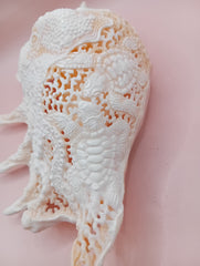 Hand-carved Lambis truncata shell with octopus design – 9.5 inches