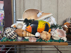 Vintage Horse Conch Seashell & Fish Light