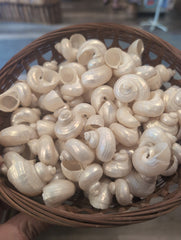 Small Pearl Jade Turbo