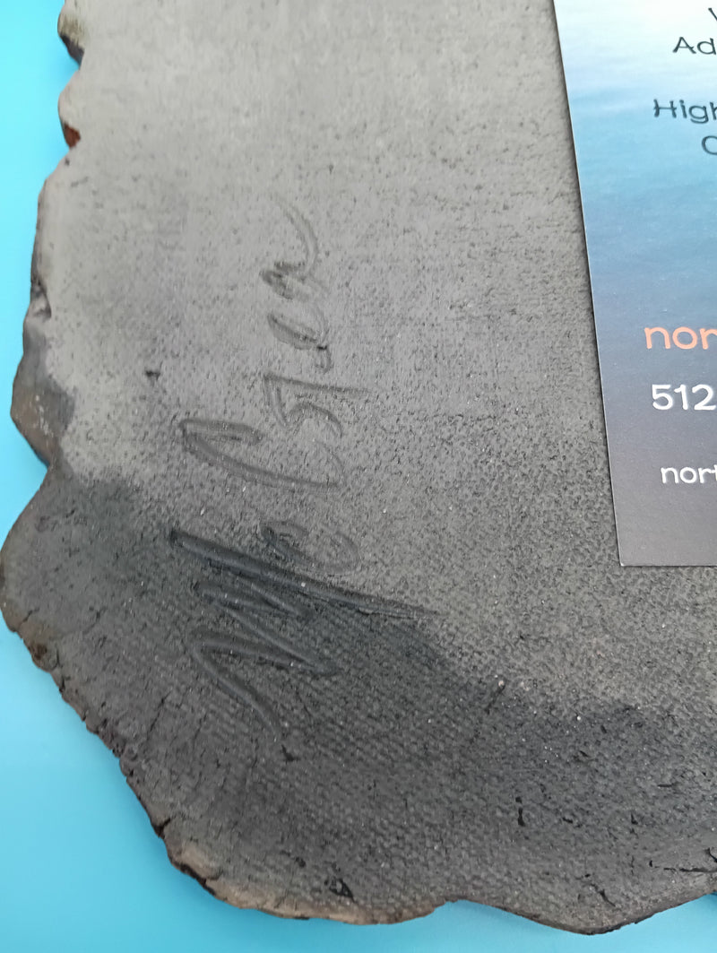 Handmade Raku fired ceramic sea turtle wall art by Bobbie McCrea, North Shore Pottery