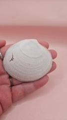 Handmade decorative shell with “Footprints” poem text, beach wave design, and golden painted rim, shown held in a hand.