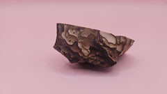 Rough Deschutes Jasper specimen with scenic brown and gold banding, 38g collector’s stone from Oregon shown in hand.