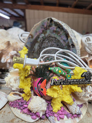 Abalone Shell & Colored Coral with Fish novelty/ light
