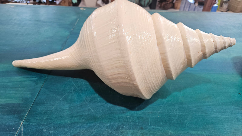 Large Australian trumpet sea shell with peach interior and spiral shape, perfect for coastal home décor and ocean-themed display.