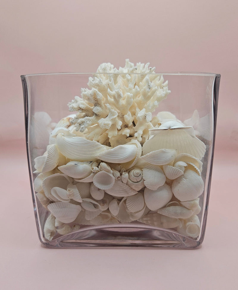 Square glass vase filled with white seashells and topped with natural white coral, coastal decor on soft pink background