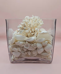 Square glass vase filled with white seashells and topped with natural white coral, coastal decor on soft pink background