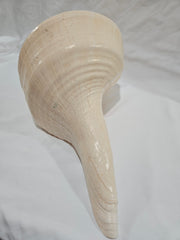 Large Monster Australian Trumpet Shell 18