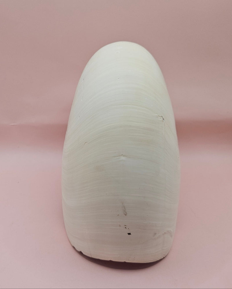 8-inch natural nautilus shell with smooth spiral pattern and creamy pearlescent finish.