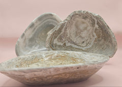 Polished natural onyx shell bowls with layered cream, gray, and brown tones