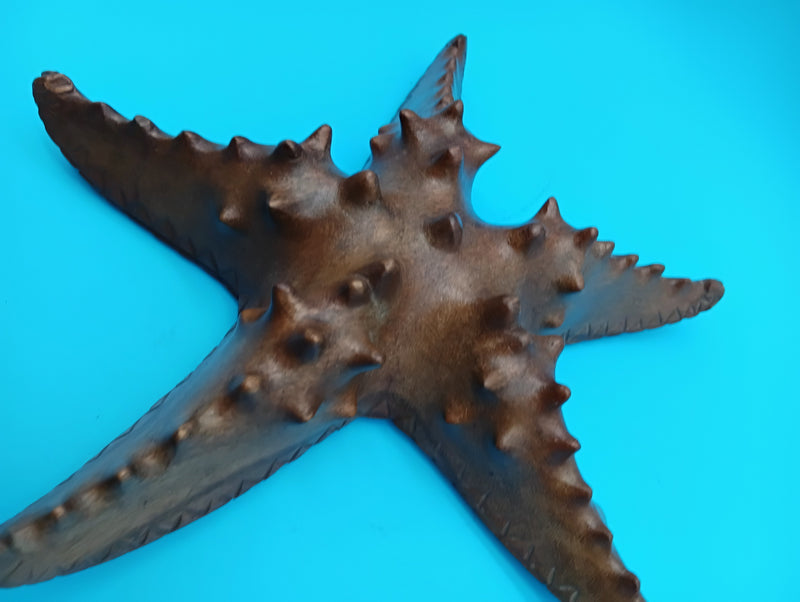 Hand carved wooden starfish coastal décor 9–10"