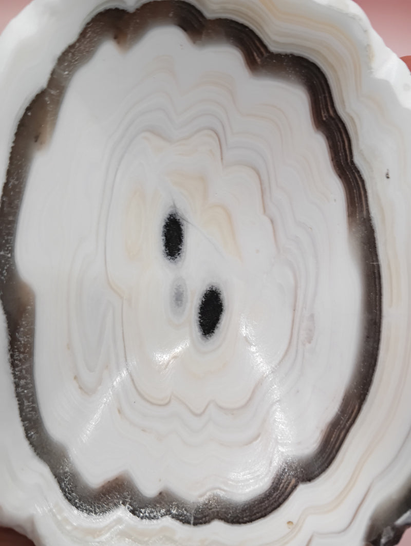 Polished natural onyx shell bowls with layered cream, gray, and brown tones