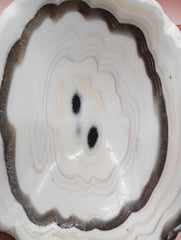 Polished natural onyx shell bowls with layered cream, gray, and brown tones