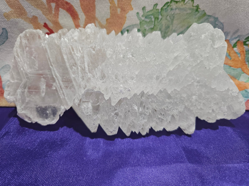 Fishtail Angelwing Selenite