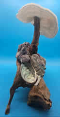 White coral, abalone shells, and barnacles mounted on grapevine wood coastal sculpture.