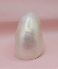 Polished Pearl Nautilus Shell – Elegant Ocean Décor (3.75