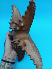Hand carved wooden starfish coastal décor 9–10