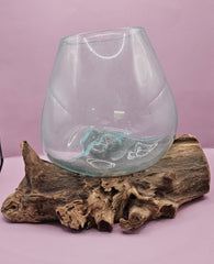 Teak root driftwood and molten glass terrarium – single globe. Handcrafted with molten glass carefully shaped over natural teak root driftwood, creating a one-of-a-kind organic design. Perfect for housing plants, succulents, or decorative displays. Ideal for home or office decor.