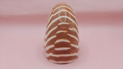 4-inch natural nautilus shell with smooth spiral pattern and creamy pearlescent finish.