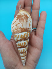 Carved Tibia Shell with Palm Tree Scene – 4.4