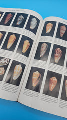 Compendium of Seashells hardcover book by R. Tucker Abbott and S. Peter Dance, 1991 edition with over 4,200 full-color marine shell photographs.