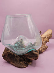 Teak root driftwood and molten glass terrarium – single globe. Handcrafted with molten glass carefully shaped over natural teak root driftwood, creating a one-of-a-kind organic design. Perfect for housing plants, succulents, or decorative displays. Ideal for home or office decor.