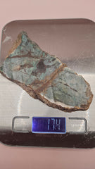 Arizona Spiderweb Malachite slab 174g with vivid green and brown spiderweb patterns on polished surface.