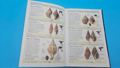 Smithsonian Handbooks Shells softcover book by S. Peter Dance, 2002 DK edition with 500+ species and full-color identification guide.