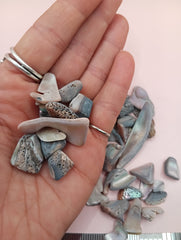 Hand holding polished tumbled abalone shell pieces in assorted shapes and colors