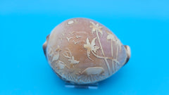 Carved tiger cowrie shell 4.3 inches with wildlife deer and bird scene for coastal décor