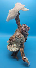 White coral, abalone shells, and barnacles mounted on grapevine wood coastal sculpture.