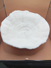 Vintage White Bowl Coral 13