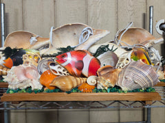 Vintage Horse Conch Seashell & Fish Light