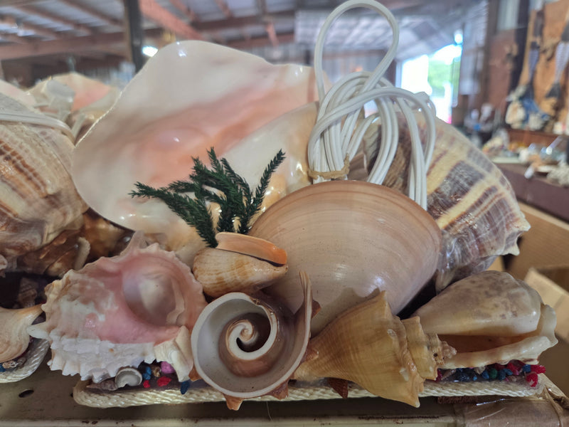 Pink Queen Conch Shell Vintage Novelty Light