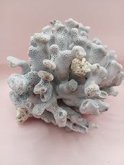 Vintage Blue Ridge Coral with blue-grey texture – 6.7 inch coastal display decor piece