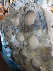 White Onyx Wine Holder with 15 Bottle Openings – Natural Sculptural Stone Rack