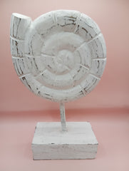 Natural Fossil Ammonite | Coastal Home Decor Fossils