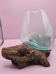 Teak root driftwood and molten glass terrarium – single globe. Handcrafted with molten glass carefully shaped over natural teak root driftwood, creating a one-of-a-kind organic design. Perfect for housing plants, succulents, or decorative displays. Ideal for home or office decor.