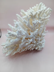 Vintage cream table coral with flattened branches – 10 x 6 x 7.5 inches coastal décor accent