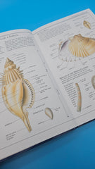 Smithsonian Handbooks Shells softcover book by S. Peter Dance, 2002 DK edition with 500+ species and full-color identification guide.