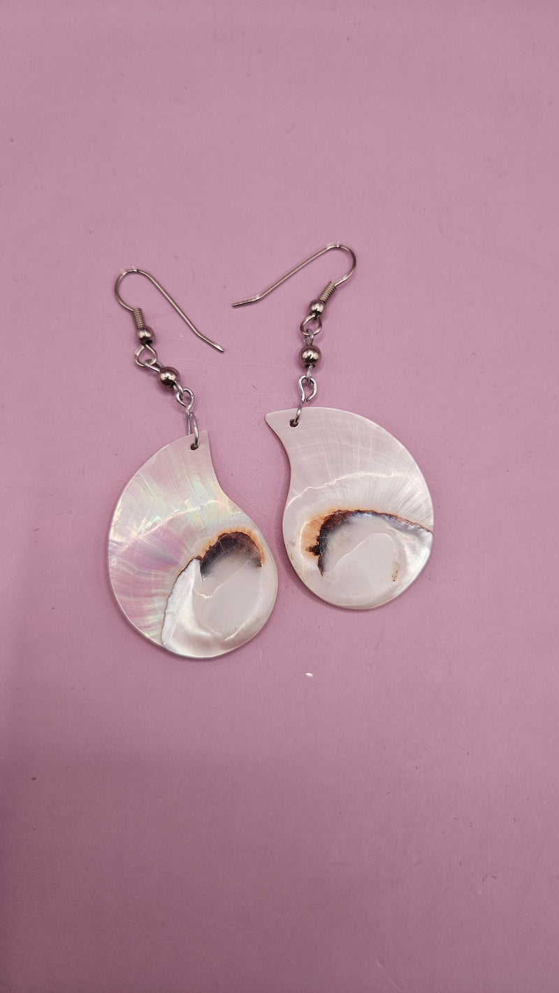 2.5" vintage nautilus shell earrings with polished iridescent shells, displayed against a pink background 