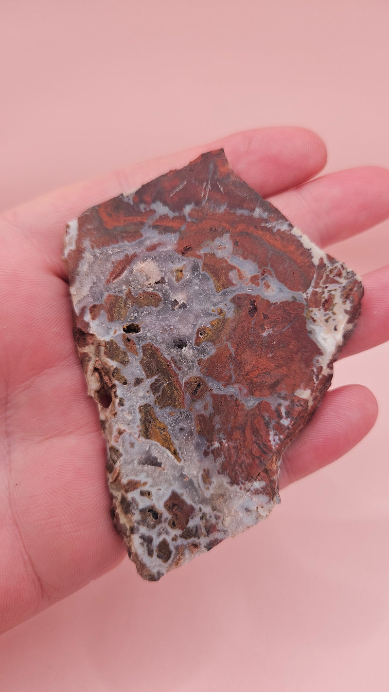 49g Hatch New Mexico rhyolite slab with bold red, tan, and gray brecciated orbicular patterns – ideal for display, lapidary, or crystal collection