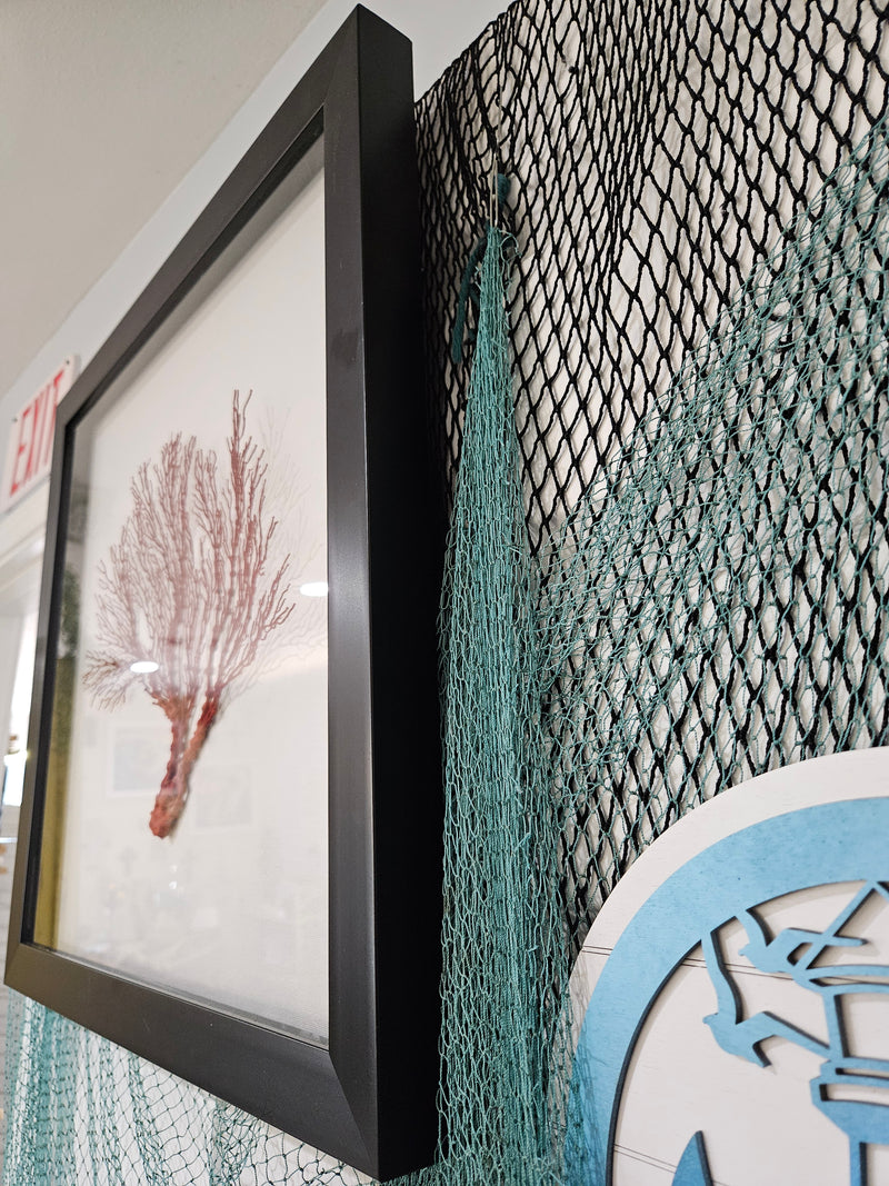 A 20"x20" Pink Sea Fan Shadow Box, featuring a delicate pink sea fan encased in a glass shadow box frame, perfect for coastal and beach house décor