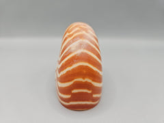 Chambered Tiger Nautilus shell, 2.8 inches wide, with brown stripes and spiral design, perfect for marine décor or collections.