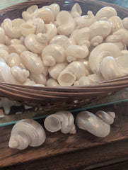 Small Pearl Jade Turbo