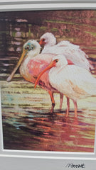 11x14 matted wildlife art print featuring roseate spoonbills and white ibis. Signed by the artist and ready to frame—perfect for bird and nature lovers.