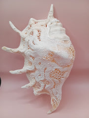 Hand-carved Lambis truncata shell with octopus design – 9.5 inches