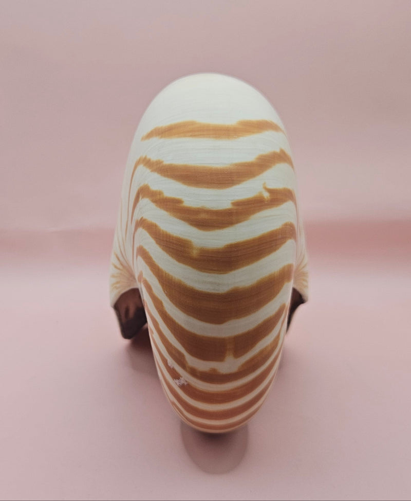 8-inch natural nautilus shell with smooth spiral pattern and creamy pearlescent finish.